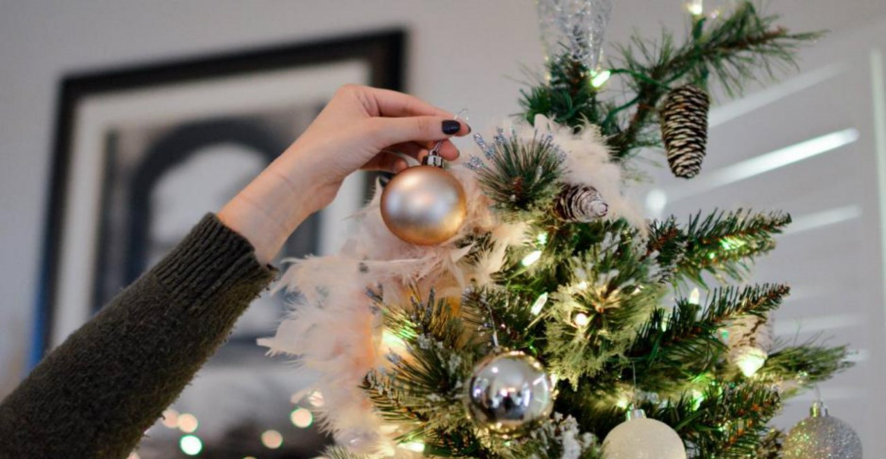 Πώς θα σου φαινόταν να στολίσεις φέτος ένα φυσικό αντί τεχνητό χριστουγεννιάτικο δέντρο; - Οι τιμές πάντως δεν είναι απαγορευτικές