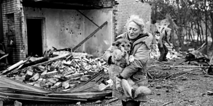 Αγανάκτηση για καταφύγια μόνο για… ανθρώπους – Τι θα γίνει με τα κατοικίδια; «Είναι μέλη της οικογένειάς μας»