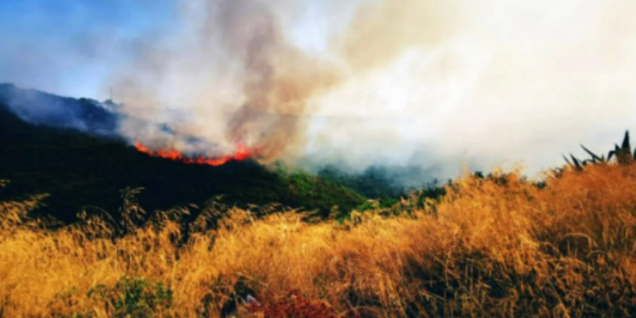 Φωτιά σε δασική έκταση και πάλι στην Ελλάδα - Σε κινητοποίηση πυροσβέστες, οχήματα, αεροπλάνα και ελικόπτερο