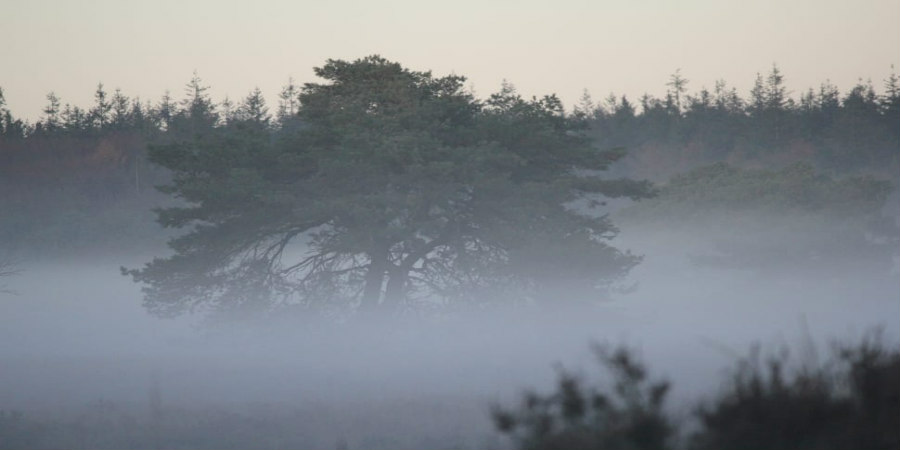 ΤΡΟΟΔΟΣ: Περιορισμένη ορατότητα λόγω ομίχλης
