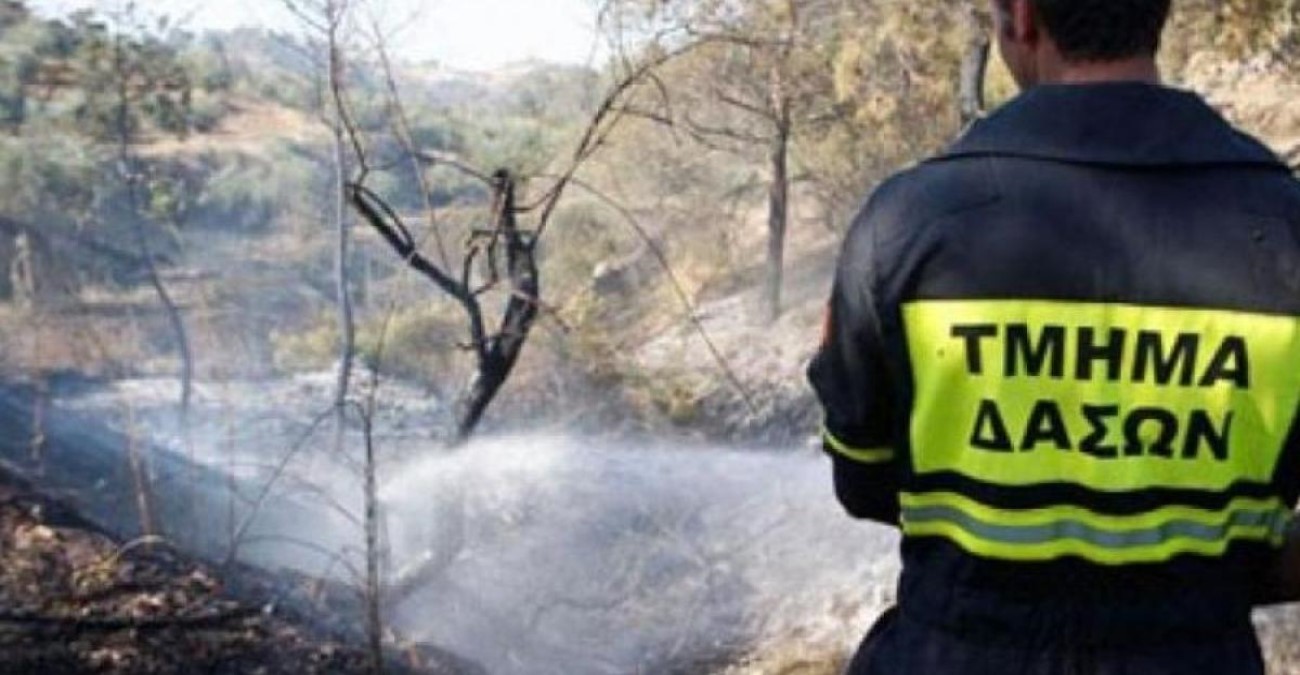 Πυρκαγιά προκλήθηκε από κεραυνό στη Λυσού - Επιχειρούν πτητικά μέσα