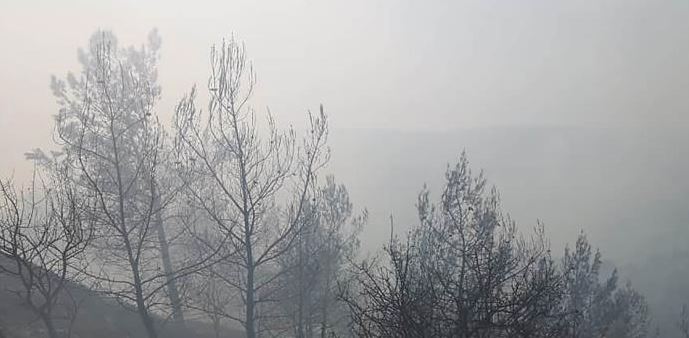ΕΠ. ΠΑΦΟΥ: Υπό έλεγχο η φωτιά στην Γιόλου σε εξέλιξη στην Πενταλιά