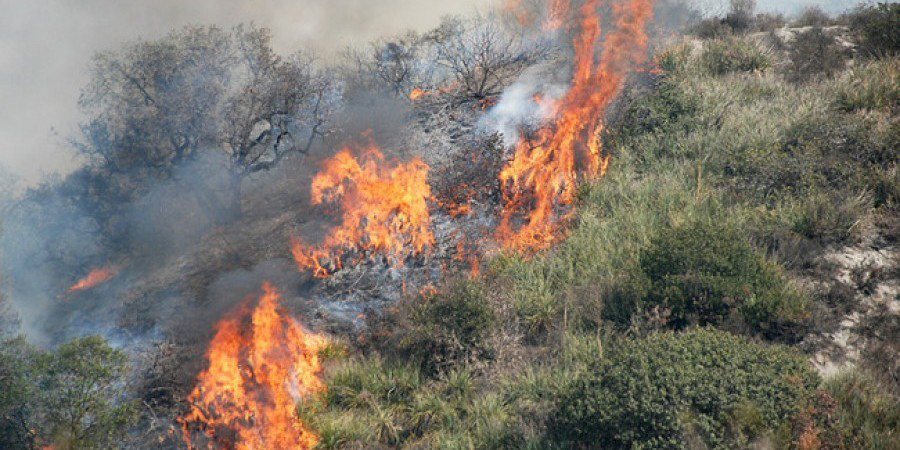 Πυρκαγιά ανάμεσα στις κοινότητες Κελοδεκάρα και Τραχυπέδουλα - Τέθηκε υπό έλεγχο