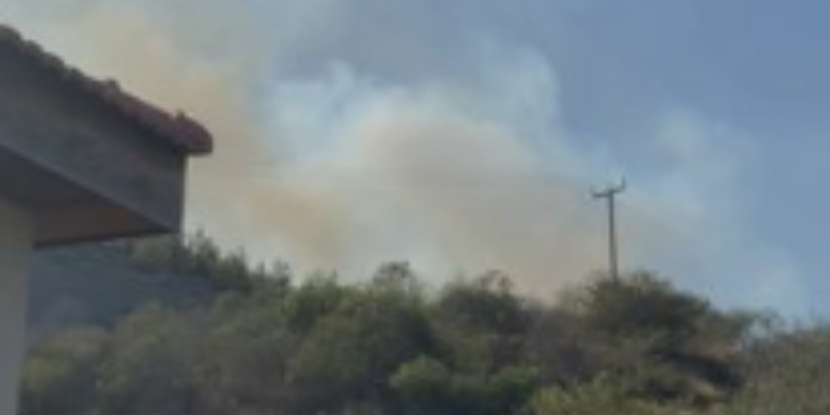 Συναγερμός στο Τμ.Δασών : Μεγάλη δασική πυρκαγιά στην Διερώνα