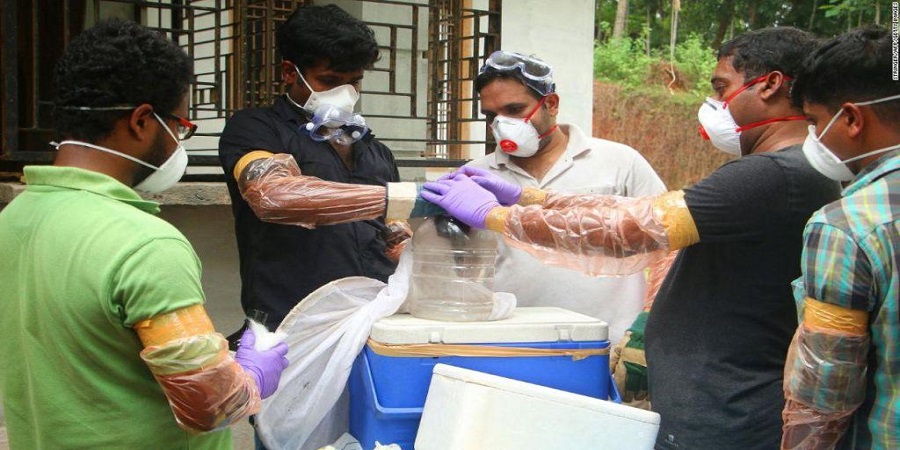 Τρόμος για τον θανατηφόρο ιό Νίπα - Mεταδίδεται από τρόφιμα που έχουν μολυνθεί από νυχτερίδες