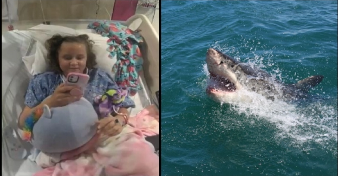 Καρχαρίας επιτέθηκε σε 10χρονη: Την δάγκωσε, τον κλώτσησε και κατάφερε να γλιτώσει - Βίντεο