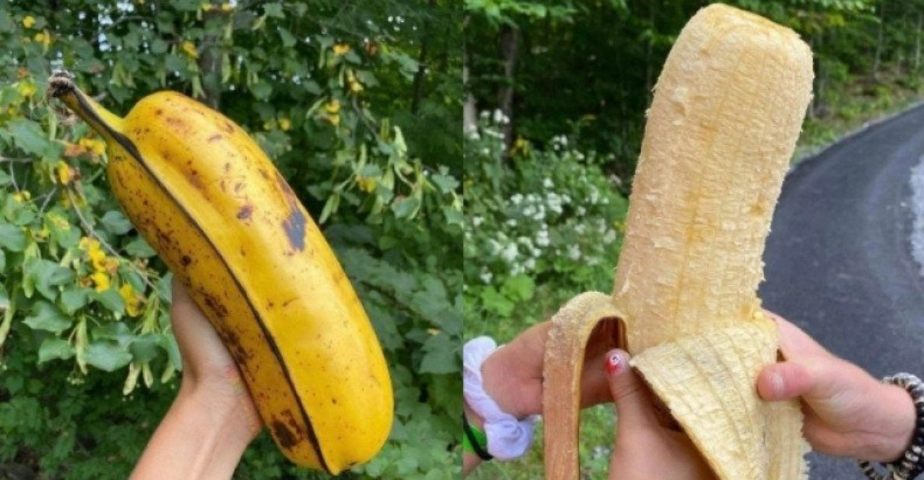 Αυτή είναι η μεγαλύτερη μπανάνα στο κόσμο - Έχει ταρακουνήσει το διαδίκτυο - Δείτε φωτογραφίες
