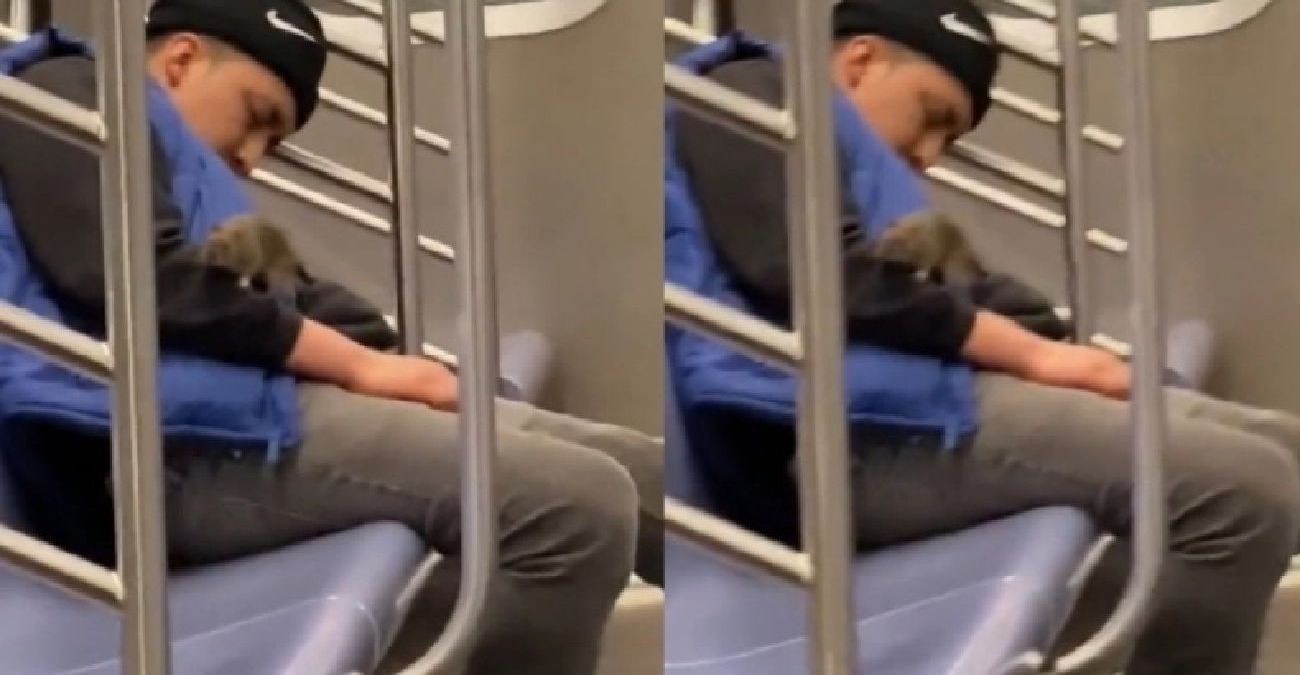 Η στιγμή που αρουραίος σκαρφαλώνει σε επιβάτη του μετρό στη Νέα Υόρκη ενώ κοιμάται - Βίντεο