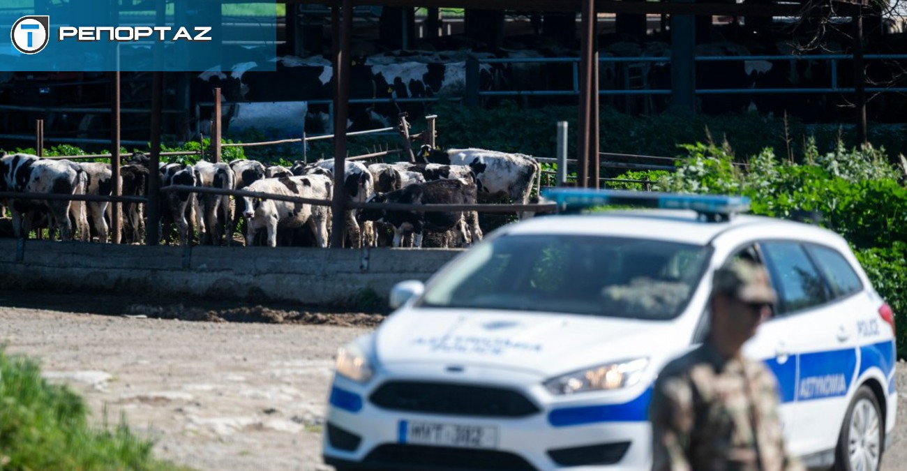 Κτηνοτροφία, κρίση και κάλπες: Ο αφθώδης πυρετός αλλάζει την πολιτική ατζέντα-Κόμματα, στήνουν το προεδρικό, στον τοίχο