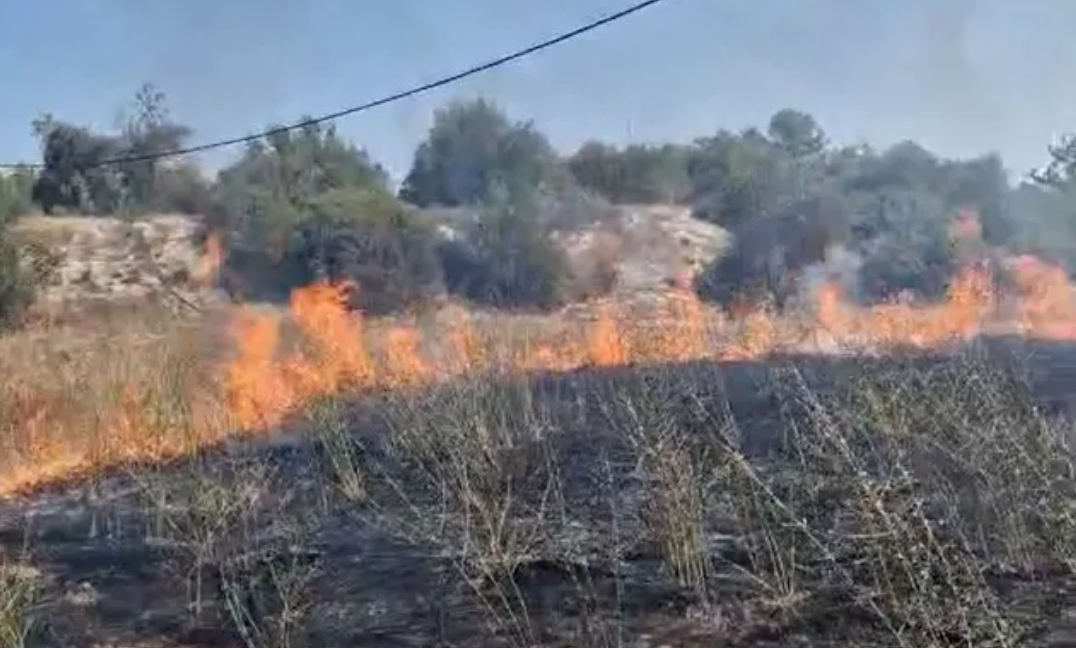 Συναγερμός μετά από πυρκαγιά στη Λευκωσία - Πολύ σοβαρός κίνδυνος για σπίτι