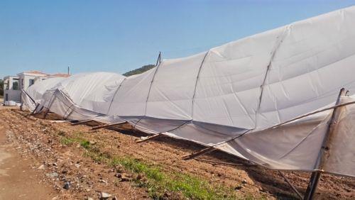 Καταστροφή στην Αγία Μαρίνα Χρυσοχούς: Οι άνεμοι «χτύπησαν» καλλιέργειες και θερμοκήπια – Ζημιά άνω των €30.000