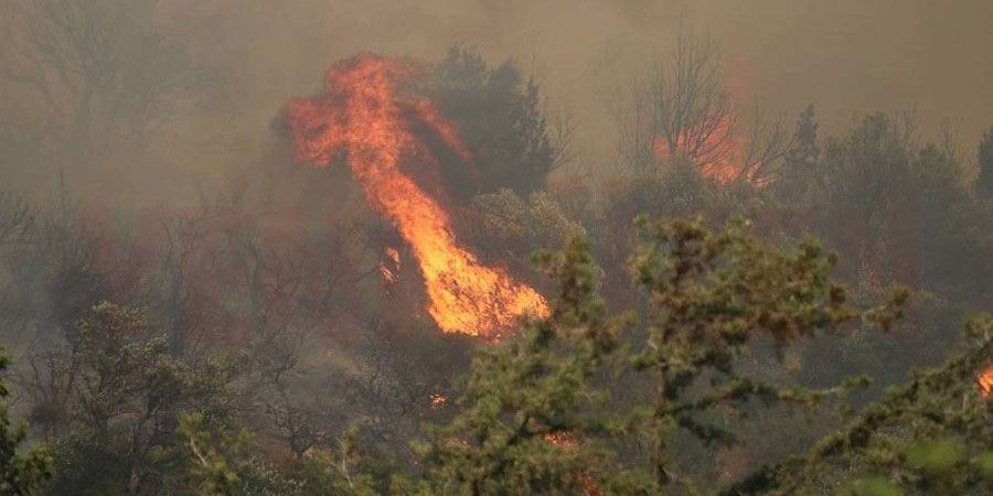 Βελτιωμένη η κατάσταση στο μέτωπο της μεγάλης πυρκαγιάς στα κατεχόμενα, κάηκαν 12.000 στρέμματα