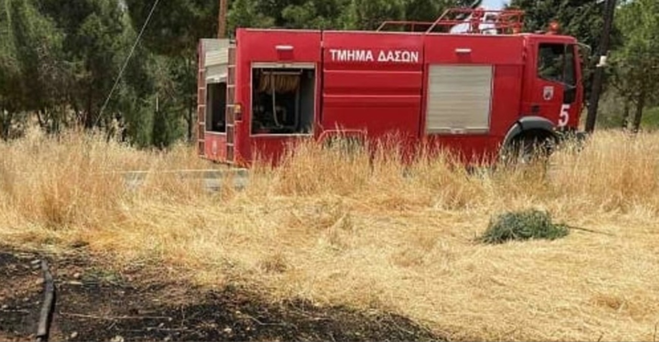 Πυρκαγιά σε εξέλιξη στο Όμοδος – Στο σημείο τέσσερα πυροσβεστικά οχήματα – Δείτε φωτογραφία