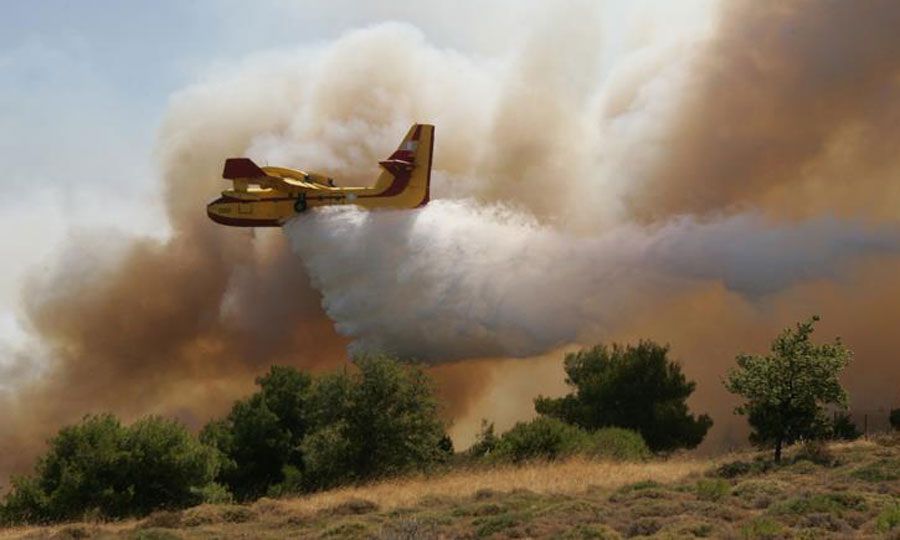 Υπό πλήρη έλεγχο οι πυρκαγιές στο Ισραήλ - Επιστέφει η κυπριακή αποστολή 