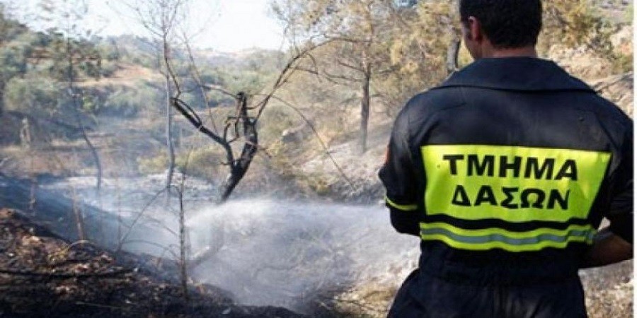 ΚΥΠΡΟΣ: Σε επίπεδο 'Κόκκινου Συναγερμού' ο κίνδυνος πυρκαγιάς - Έκκληση από Τμήμα Δασών