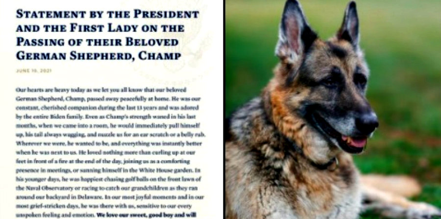 Το ζεύγος Μπάιντεν ανακοίνωσε τον θάνατο του «πρώτου σκύλου» Τσαμπ 