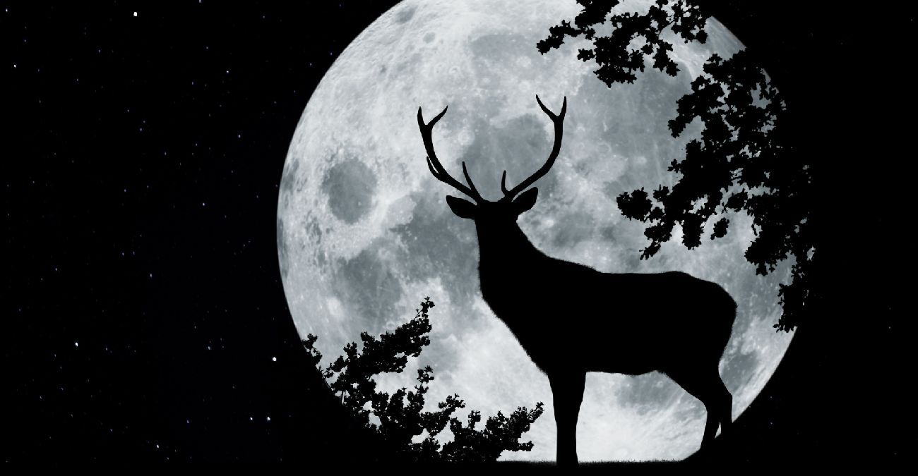 Απόψε το «φεγγάρι του ελαφιού» - Πιο κοντά στη Γη από κάθε άλλη φορά φέτος η πανσέληνος του Ιουλίου