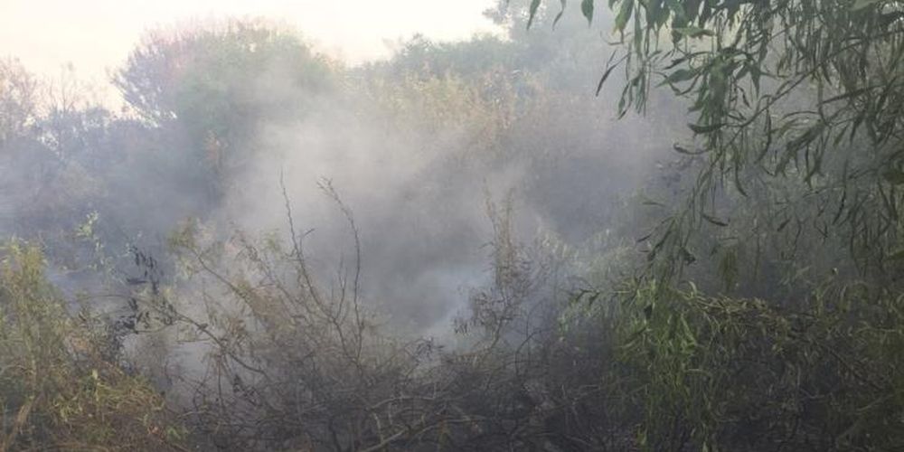 ΠΑΦΟΣ: Κακόβουλη φωτιά στο δάσος της Πέγειας – Απειλήθηκε αρχαιολογικός χώρος