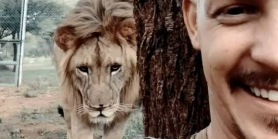 Η στιγμή όπου ένα λιοντάρι επιτίθεται, ή μήπως όχι; – VIDEO