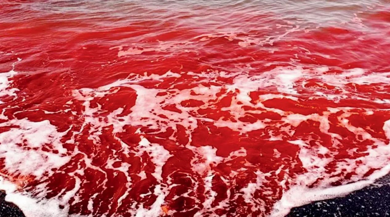 VIDEO: Η βροχή βάφτηκε κόκκινη στο Ιράν – Εντυπωσιακές εικόνες