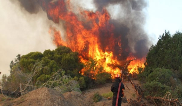 ΕΚΤΑΚΤΟ-ΛΕΜΕΣΟΣ: Ξέσπασε πυρκαγιά πλησίον κατοικημένης περιοχής στον Ύψωνα- Καλούνται άμεσα ενισχύσεις