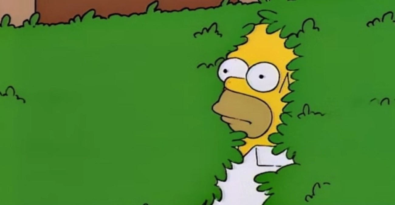 Όλοι το έχουν δει αλλά κανείς δεν θυμάται το επεισόδιο – Η ιστορία πίσω από το πιο Viral Meme των Simpson
