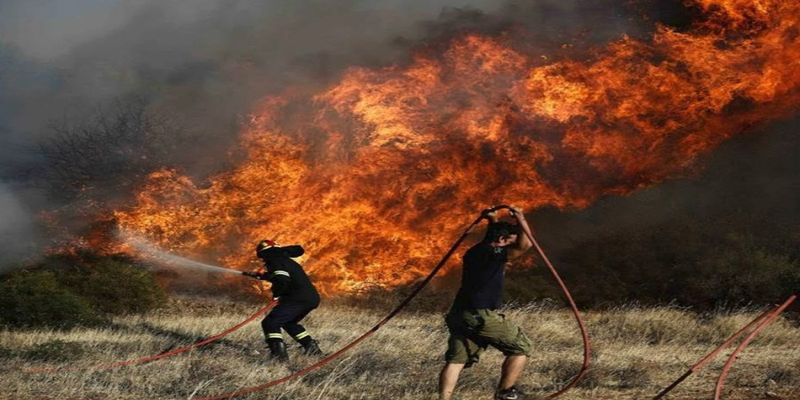 Κακόβουλη ενέργεια η φωτιά στο δάσος στην περιοχή της Λάρας - Κατασβέστηκε προτού επεκταθεί 