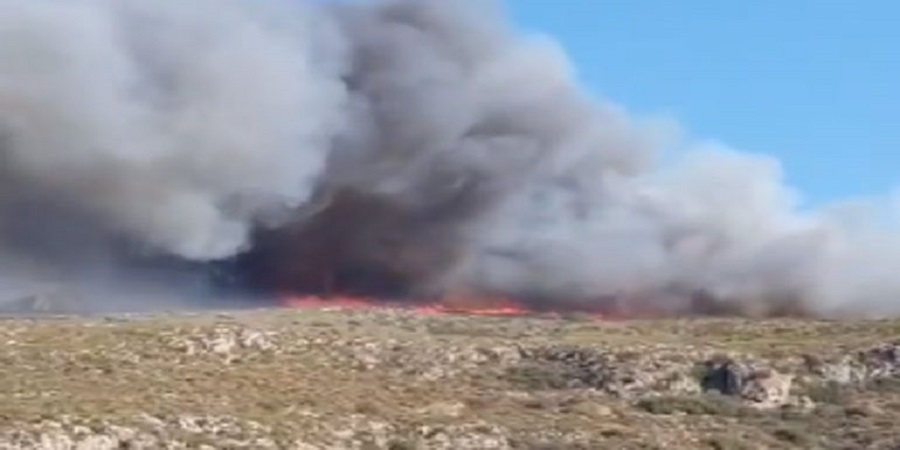 ΕΛΛΑΔΑ: Πυρκαγιά στην Ελαφόνησο - Εκκενώνεται camping – Ισχυρές δυνάμεις στο σημείο – VIDEO 