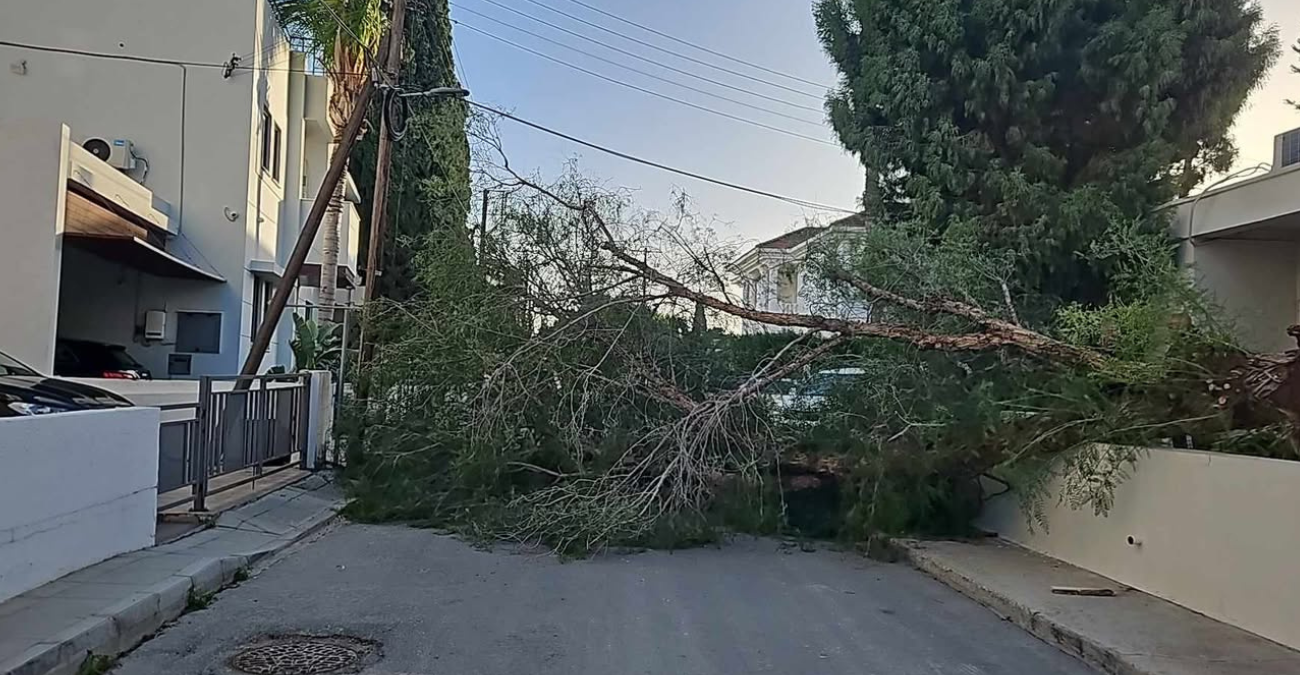 Χωρίς ρεύμα περιοχές της Κύπρου  – Οι ισχυροί άνεμοι προκάλεσαν βλάβες στο δίκτυο της ΑΗΚ