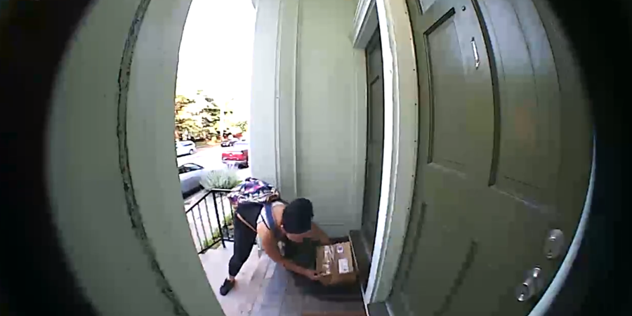 Προσπάθησε να τους κλέψει το πακέτο – Έφυγε ουρλιάζοντας από το σπίτι – VIDEO