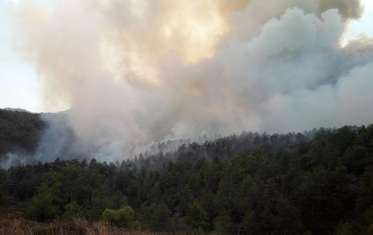 ΕΠ. ΛΕΥΚΩΣΙΑΣ: Ξέσπασε φωτιά κοντά σε κρατικό δάσος- Τέθηκε γρήγορα υπό έλεγχο
