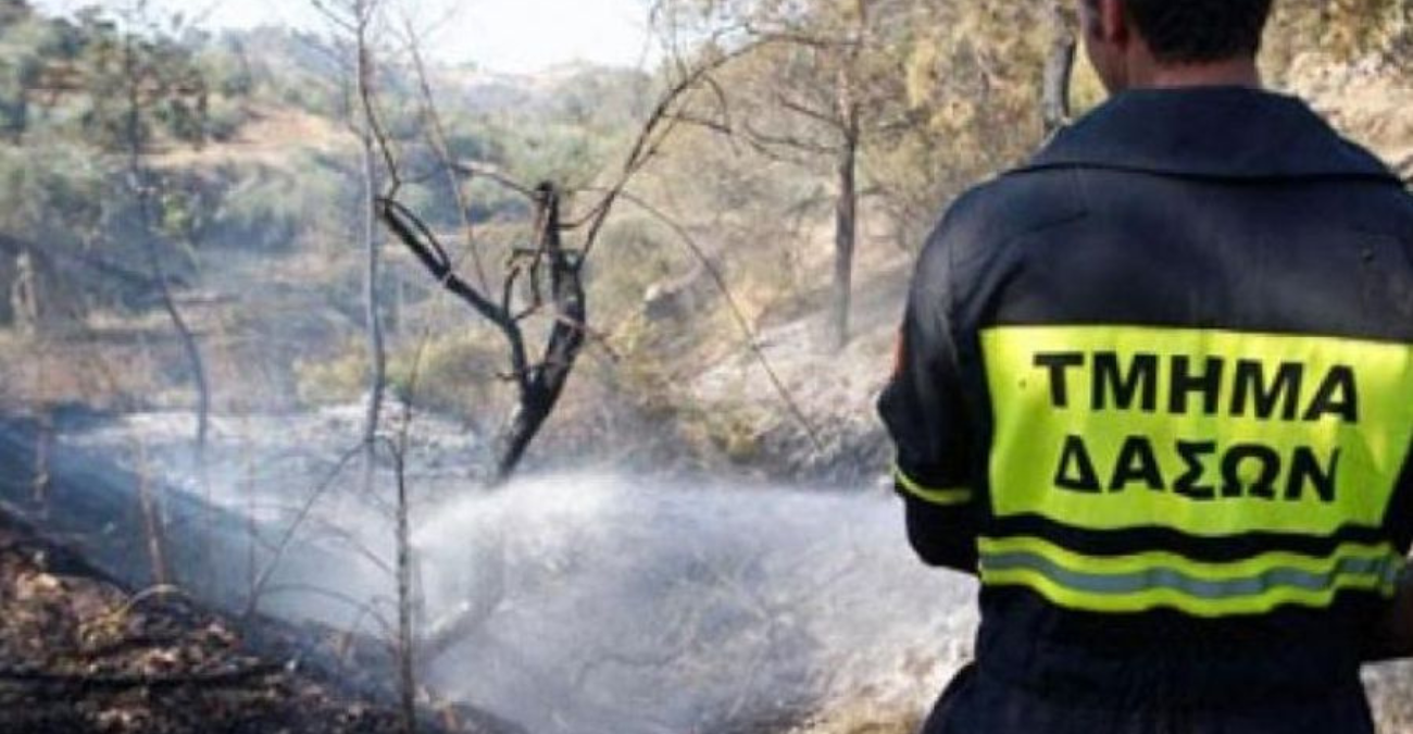 Σήμανε συναγερμός στην Αραδίππου: Πυρκαγιά στον δρόμο προς Ριζοελιά - Λεπτομέρειες