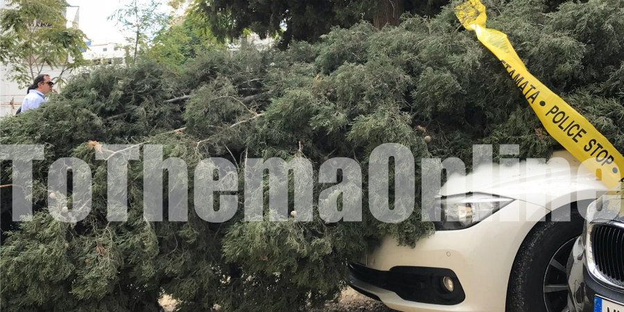 ΛΕΥΚΩΣΙΑ: Σφοδροί άνεμοι απέκοψαν κλαδιά δένδρων, προκαλώντας ζημιές σε οχήματα -ΦΩΤΟΓΡΑΦΙΕΣ