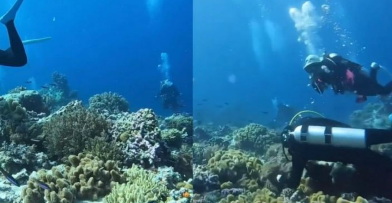 Ένα Χριστουγεννιάτικο Δέντρο στον... βυθό του Πρωταρά - Δείτε το εντυπωσιακό βίντεο