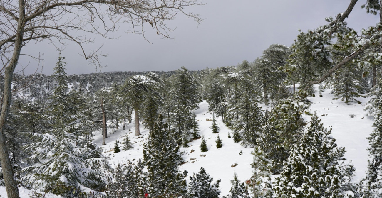 Άστατος καιρός με καταιγίδες και χιόνια στα ορεινά – Σε ισχύ κίτρινη προειδοποίηση