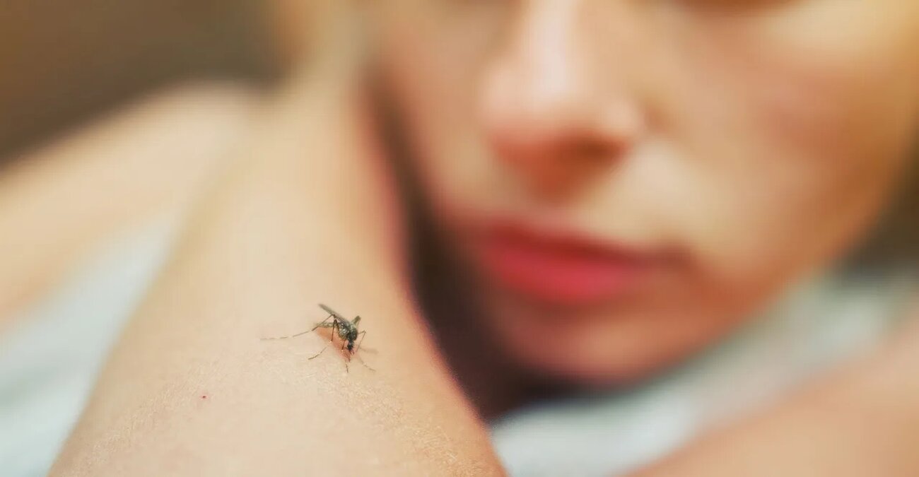 Κουνούπια: Επτά λόγοι που τσιμπούν εσάς και όχι τον διπλανό σας