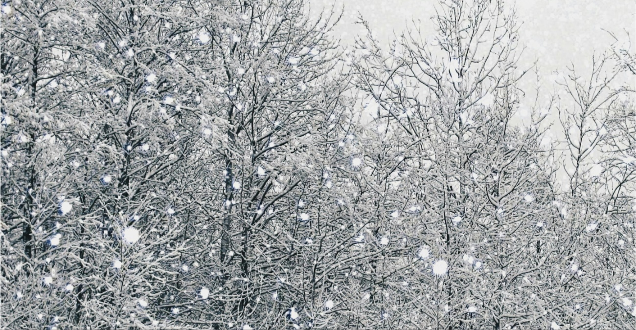 Καταιγίδες και παγετός: Πώς θα διαμορφωθεί ο καιρός τις επόμενες μέρες – Πότε ανεβαίνει η θερμοκρασία