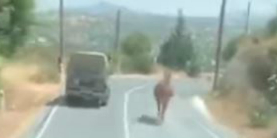 ΕΠ. ΛΕΜΕΣΟΥ: Απίστευτο σκηνικό στον δρόμο - Άλογο έτρεχε όχημα από πίσω – VIDEO
