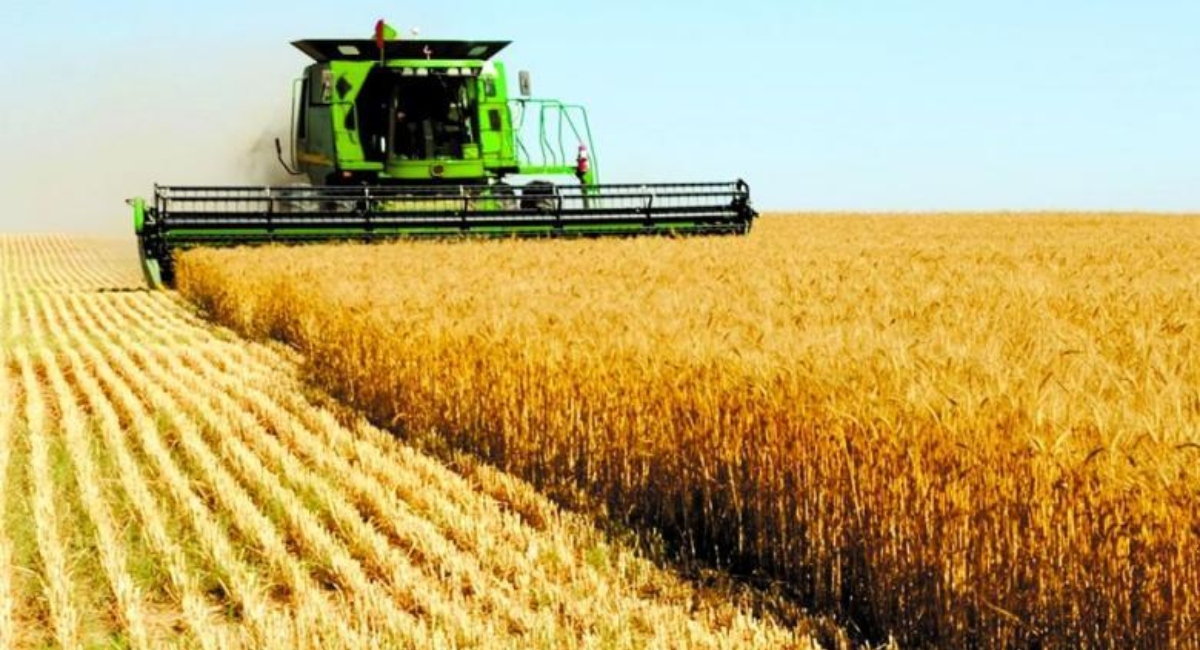 Η ΕΕ είναι έτοιμη να μετακινήσει σχεδόν όλες τις εξαγωγές σιτηρών της Ουκρανίας