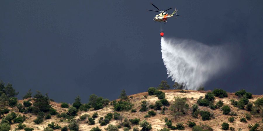 Πυρκαγιά στον Πύργο Τηλλυρίας κινητοποίησε το Τμήμα Δασών – Και πτητικά μέσα στην περιοχή