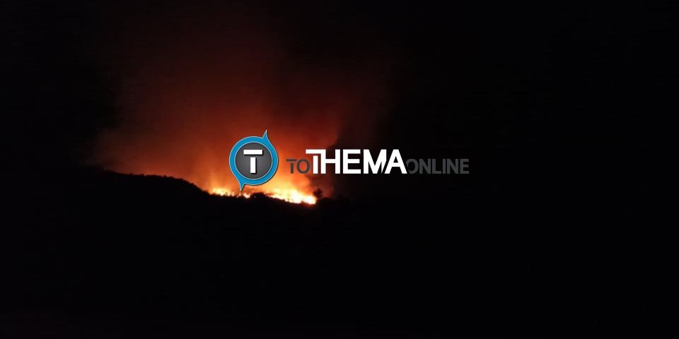 Ολονύχτια μάχη με τις φλόγες στη Λεμεσό - Σε απροσπέλαστο έδαφος η πυρκαγιά -ΒΙΝΤΕΟ