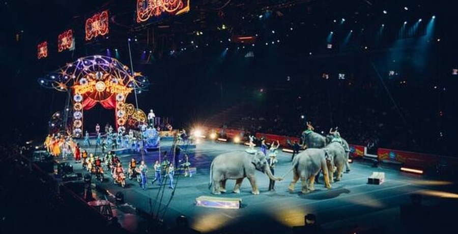 Ρωσία: Αρκούδα επιτέθηκε σε έγκυο θηριοδαμαστή σε τσίρκο - ΒΙΝΤΕΟ