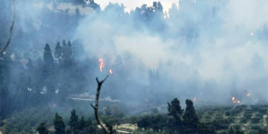 Ανεξέλεγκτη η φωτιά στην Κασσάνδρα Χαλκιδικής - Μάχη από ξηράς και από αέρος
