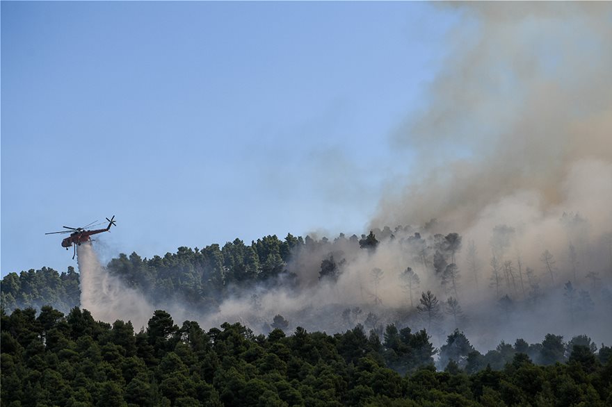 Ανεξέλεγκτη η φωτιά στην Εύβοια - Καίγεται το δάσος Natura - Συναγερμός σε χωριά της περιοχής - ΦΩΤΟΓΡΑΦΙΕΣ