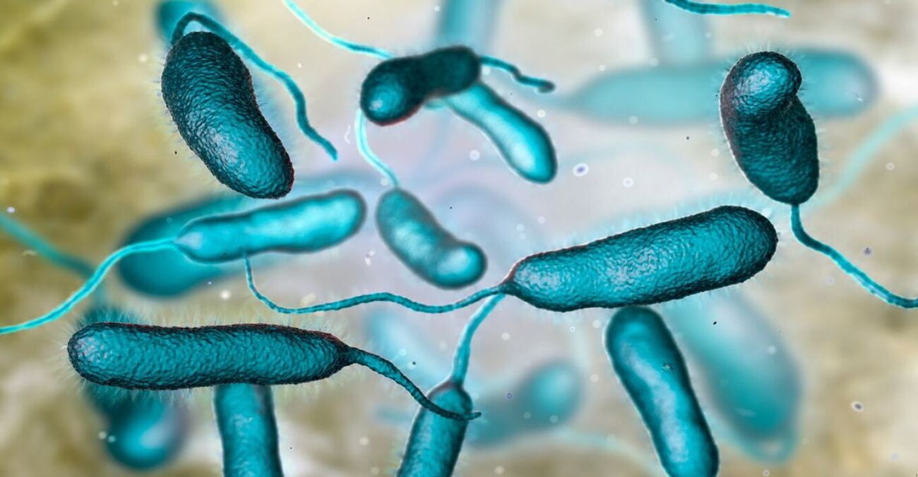 Τρόμος στις ΗΠΑ: Νεκρά τρία πρόσωπα από βακτήρια που «τρώνε τη σάρκα»
