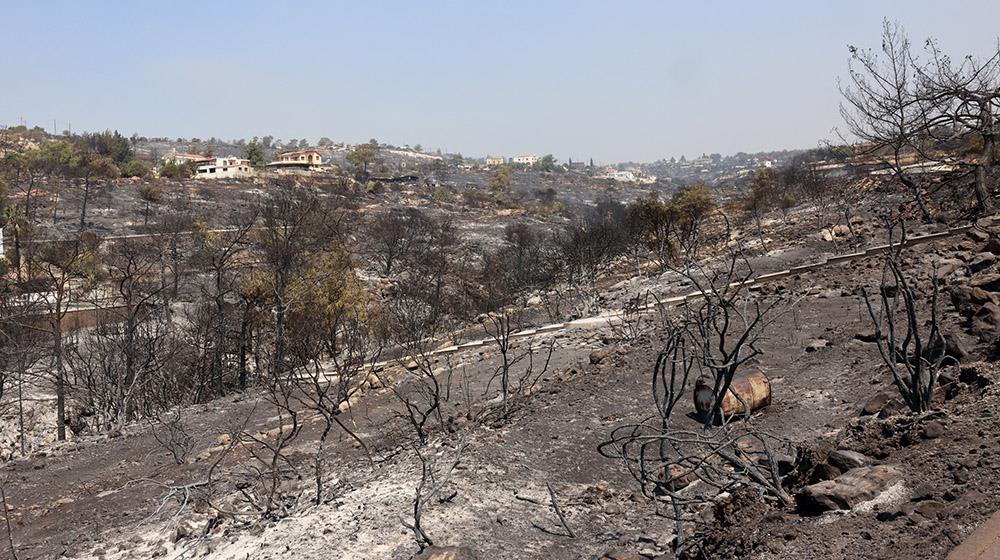 Με ταχύτητα προχωρά η στήριξη των πυρόπληκτων - Άμεσες καταβολές, επιδόματα και έργα αποκατάστασης στις πληγείσες περιοχές