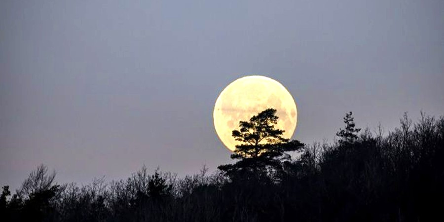 Φεγγάρι του Ελαφιού: Στον ουρανό απόψε η πιο φωτεινή υπερπανσέληνος της χρονιάς - Πώς πήρε την ονομασία της