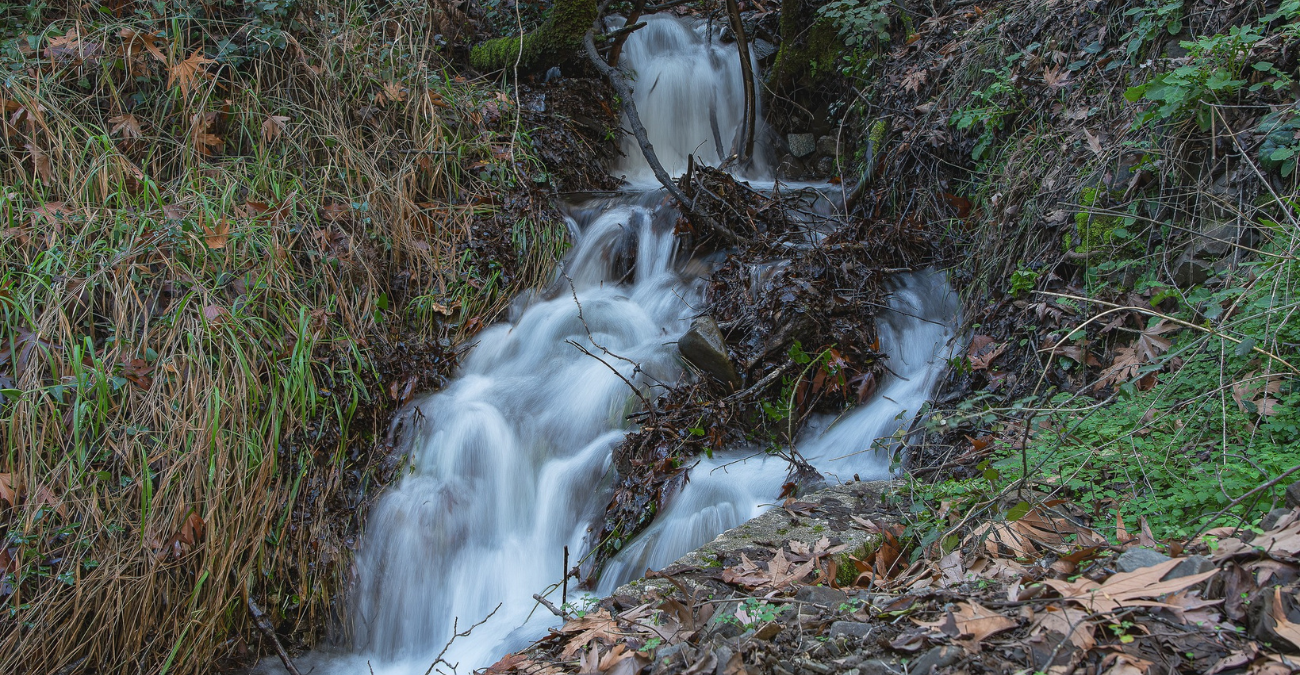 Φωτογραφίες που καθηλώνουν: Ο Πλατύς Ποταμός «ζωντανεύει» μετά τις βροχές