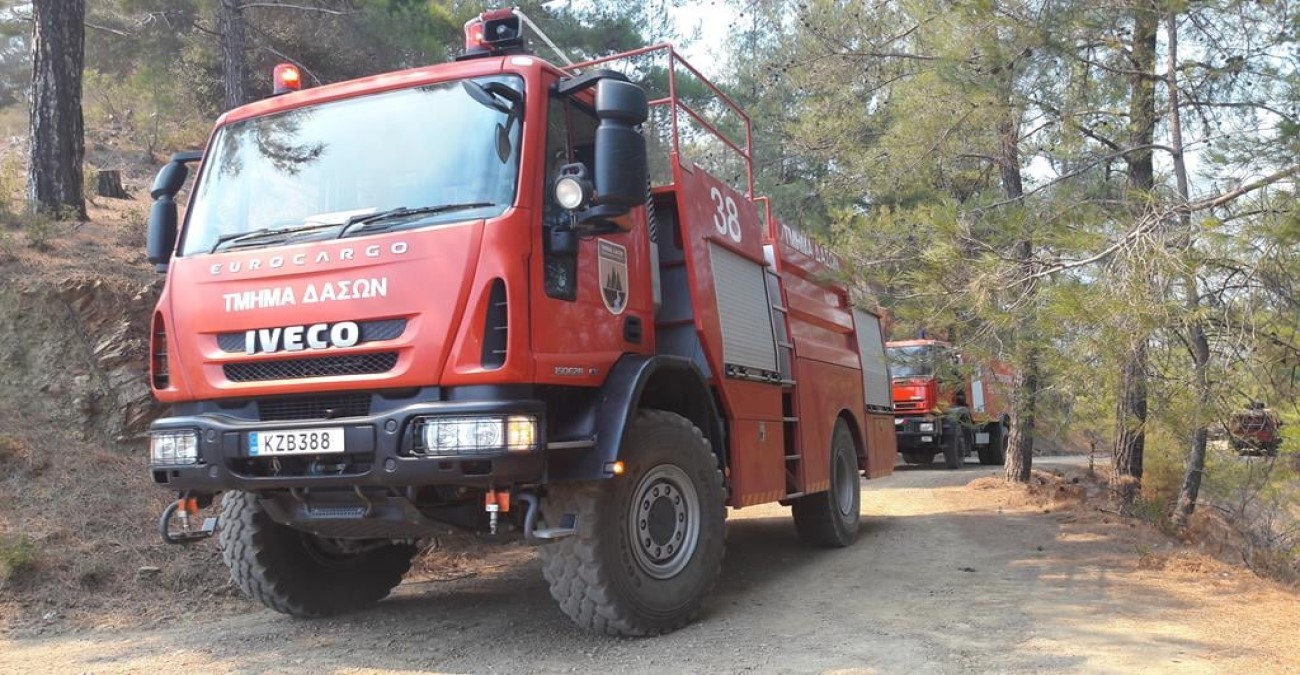 Υπό πλήρη έλεγχο δασική πυρκαγιά στην κοινότητα Κουκλιών