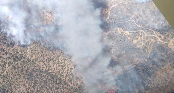 Δύο δεκάρια χαμηλής βλάστησης έκαψε φωτιά στα Πέρα Ορεινής